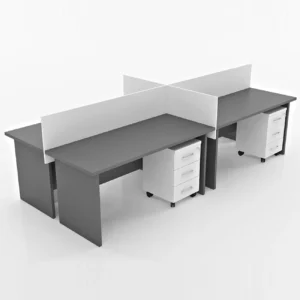 Plus Dörtlü Workstation