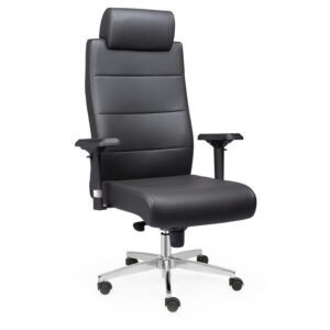 Kuzey Müdür Koltuğu