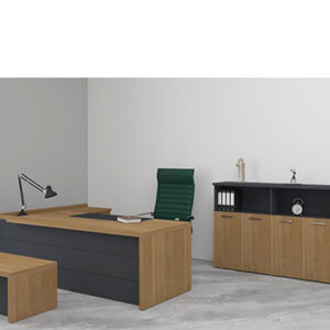 Montana Yönetici Takımı