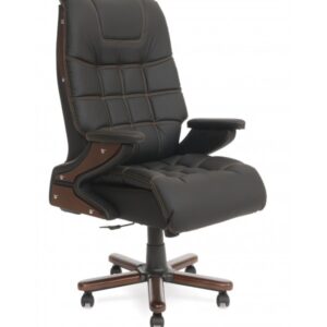 Hügo Müdür Koltuğu