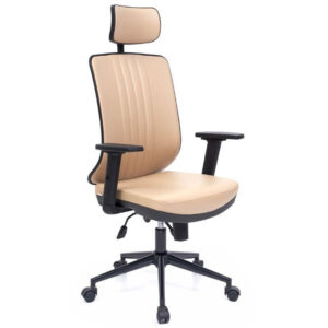 Dark Müdür Koltuğu