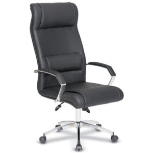 Dermi Müdür Koltuğu