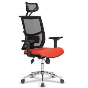 Nemo Fileli Müdür Koltuğu