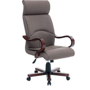 Orion Müdür Koltuğu - Görsel 1