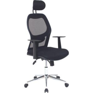 Zoi Fileli Müdür Koltuğu